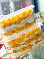 Boîte à dessert en plastique PET transparente de haute qualité, de capacité moyenne, pour tiramisu, brownie, emballage de stockage sous blister