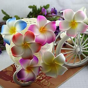 Diverses pinces à cheveux artisanales en fleur d'œuf et frangipanier artificiel, idéales pour les vacances à la plage - Product Image 4