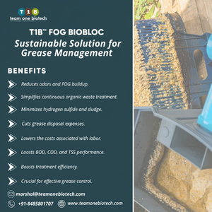 Bloque de Tratamiento de Grasa para Drenajes Comerciales, Hecho de Plástico Resistente - Product Image 1