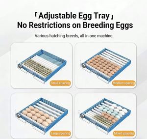 Zhanbang Fully Automatic Small Incubator 96% Hatching Rate for Chicken Duck Goose Turkey Reptile <b>Eggs</b>-Automatic <b>Egg</b> Turning New - Product Image 6