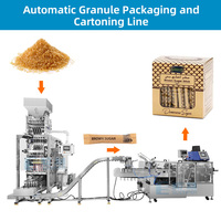 Machine automatique d'emballage de granulés de thé au gingembre en sachet à plusieurs voies boisson solide aux herbes boisson instantanée granulés