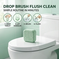 Tablettes effervescentes nettoyantes pour toilettes : Détartrage, élimination des odeurs, solution technologique pour le nettoyage du réservoir
