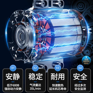 Inflador de Neumáticos Portátil Dai Sheng de Doble Cilindro con Manómetro Digital de 12V, 35L/min, 120W - Product Image 4