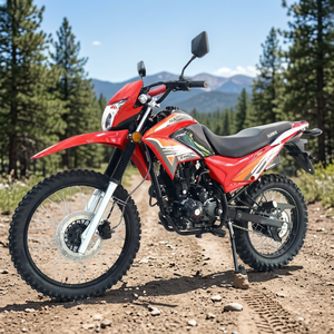 Motocicletas de Enduro de Alto Rendimiento 2025 X-PRO 250 de Grado Industrial con Garantía de 3 Años, Manillar de Aluminio, OEM ODM - Product Image 2