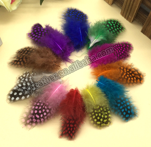 <span class=keywords><strong>Venta</strong></span> al por mayor teñido <span class=keywords><strong>Guinea</strong></span> pluma Natural barato <span class=keywords><strong>Guinea</strong></span> plumas para la <span class=keywords><strong>venta</strong></span> - Product Image 2