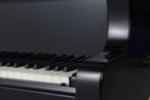 Bán chạy nhất trên toàn thế giới ủng hộ đám cưới đàn Piano cơ Đàn Piano thanh lịch với số mô hình bàn phím - Product Image 5