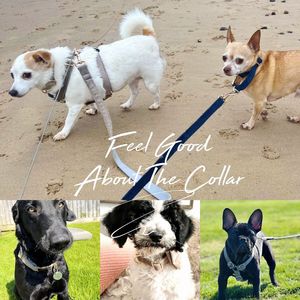 Grey Veet Cá nhân hóa con chó cổ áo dây xích thiết lập với hoa & BOW TIE cho Nam Nữ PET, vàng khắc tên tag, Wedding Puppy Quà Tặng - Product Image 6