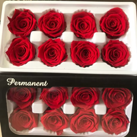 P-2 Witte Ge conserveerde Rozen in een Doos 4-5cm Decoratieve Bloemstukken DIY Ge conserveerde Bloemen Huisdecoratie Bruidsdouche Bloemen