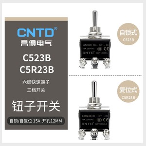 Interrupteur à bascule CNTD Changde 6 broches 3 positions à verrouillage automatique 15A en plastique et métal double pour équipements électriques modèles C523B - Product Image 3