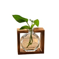 Vase hydroponique en verre minimaliste créatif, cadre en bois de style nordique, arrangement floral transparent, décoration pour la maison, bureaux, vert