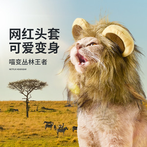 Gorro de gato y león para celebridades de internet, lindo sombrero pequeño, orejas de conejo, peluca divertida, disfraz de Navidad, atuendo para mascotas - Product Image 2
