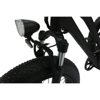Tricycle électrique pour adulte, moto, Cargo, 250 w, offre spéciale