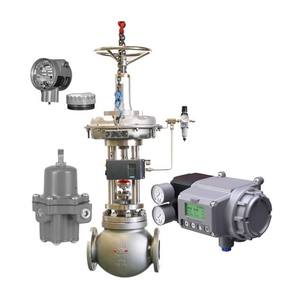 Vanne Jiangnan avec filtre Fisher 67CFSR, vanne de réduction de pression 4211/4210, transmetteur de position, positionneur de vanne Masoneilan SVI3 - Product Image 5
