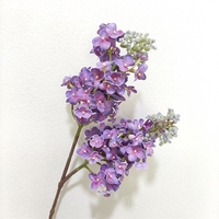 LUYI-Bunga Hydrangea Latex Berkualitas Tinggi 2 Tangkai, Bunga Lilac Artificial Real Touch, Ranting Lilac Palsu untuk Dekorasi Rumah dan Pernikahan