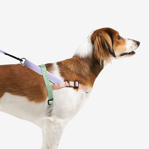 Harga pantas <span class=keywords><strong>Harness</strong></span> anjing Xl rompi untuk Hiking disesuaikan anjing taktis besar <span class=keywords><strong>Harness</strong></span> tanpa tarik <span class=keywords><strong>Harness</strong></span> - Product Image 5