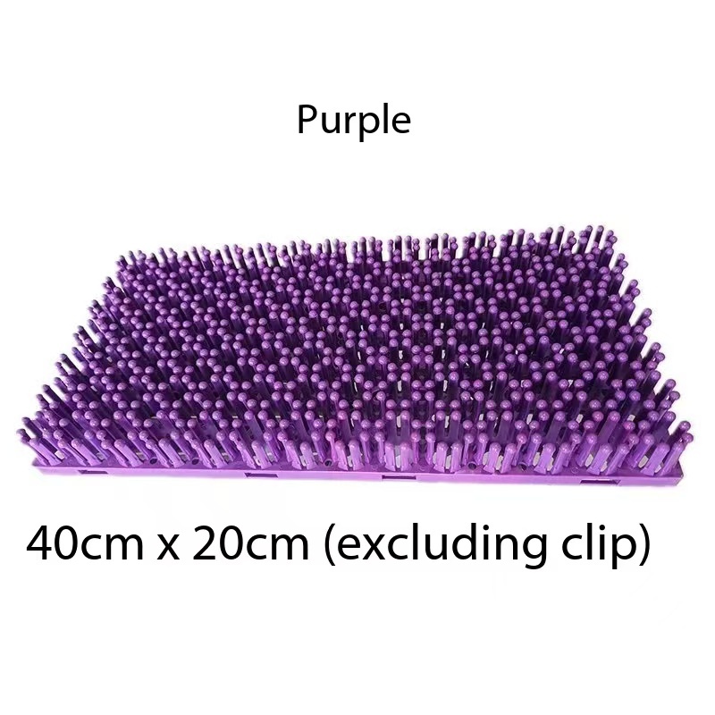 Violet
