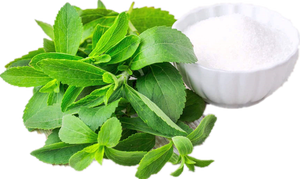 Polvo <span class=keywords><strong>de</strong></span> <span class=keywords><strong>Stevia</strong></span> Venta al por mayor Steviosides 80% Stevioside Steiva Extracto <span class=keywords><strong>Stevia</strong></span> Azúcar <span class=keywords><strong>Precio</strong></span> a granel - Product Image 3