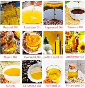 Precio <span class=keywords><strong>barato</strong></span> de alta calidad Mini uso doméstico máquina de prensa de <span class=keywords><strong>aceite</strong></span> de girasol de soja de cacahuete para Sesam Small Business en venta - Product Image 5