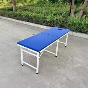 Современная Коммерческая спа-кровать для салонов красоты, массажное кресло для всего тела с быстрой доставкой, металлический материал для использования в гостиной - Product Image 2