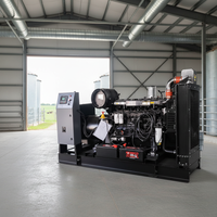 Générateur diesel silencieux de 200 kW, groupe électrogène diesel silencieux avec moteur Weichai, générateur silencieux de 250 kVA, haute qualité