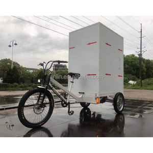 Trike Giao Hàng Điện ESTER 500W Nhà Sản Xuất Trung Quốc Tùy Chỉnh, Hộp Nhôm - Product Image 1