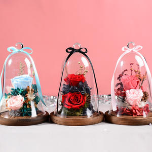 Rose éternelle classique <span class=keywords><strong>Rosa</strong></span> <span class=keywords><strong>Bella</strong></span> E Bestia, La Belle et la Bête sous cloche en verre, cadeau de la Saint-Valentin - Product Image 2