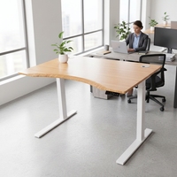 Ensemble complet de bureau en bambou, bureau debout écologique en bambou, pieds réglables électriques, bambou Factory Ecomax