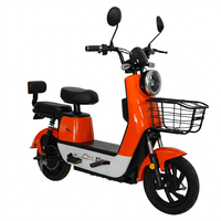 Vélo Électrique Léger en Acier au Carbone avec Batterie au Plomb 350W 48V, Assistance à la Pédalisation, Longue Autonomie, Abordable pour les Trajets Urbains – Vente Directe Usine
