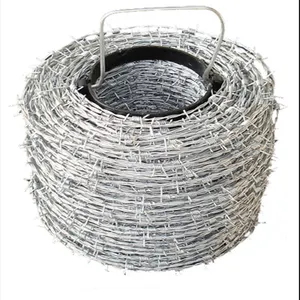 农场防护围栏用热浸镀锌双绞铁丝网
