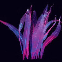 Plantes aquatiques PKY en silicone fluorescentes, décoration de bac à poissons, ornements colorés pour aquarium, lotus fleuri