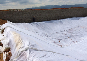 600gsm PET Coir Mat <strong>Geotextile</strong> with <strong>Jute</strong> for Slope protection ,river Bank Erosion Control - Product Image 6