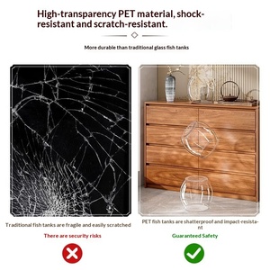 <span class=keywords><strong>Acquario</strong></span> in Plastica Trasparente, Decorazione per Micro-Paesaggi, Resistente agli Urti, Infrangibile, Adatto per Ufficio e Osservazione <span class=keywords><strong>Tartarughe</strong></span> - Product Image 4