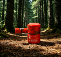 Dispositif d'extinction d'incendie à lancer, fourni par l'usine, portable, à activation par impact, à poudre sèche, pour la suppression d'incendie d'urgence
