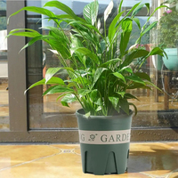 Pots de fleurs de jardinage en plastique écologique vert respectueux de l'environnement et durables Pots de fleurs de pépinière de jardin de plantes potagères