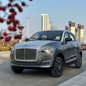 Vendita calda a buon mercato prezzo di fabbricazione piccola a bassa velocità 4 posti motore elettrico <span class=keywords><strong>Mobilty</strong></span> auto per adulti veicolo famiglia Suv - Product Image 5