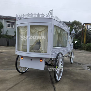 รถม้าศพไฟฟ้าสไตล์วินเทจสีขาวแบบมีหลังคาตกแต่ง - Product Image 2