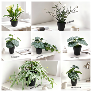 Planta Artificial <span class=keywords><strong>Echeveria</strong></span> Minima en Maceta <span class=keywords><strong>de</strong></span> Cerámica con Tierra Sintética, Ecológica y Duradera, para Decoración del Hogar y Oficina - Product Image 4