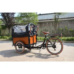 Electric Cargo Bike 3 Wheel Cargo Bicycle with Lithium Battery