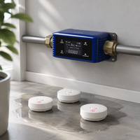 Protecteur de fuite d'eau avec Wi-Fi, capteur haute précision, vanne d'arrêt automatique pour la prévention des fuites sous l'évier