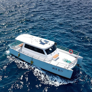 Reliable Luxury Aluminum Alloy <strong>Catamaran</strong>/Yacht High Speed Chinese Manufactured with Outboard Engine - Product Image 4
