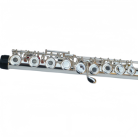 Wholesale Professional Silver-Plated Flute 17 Hole Performance Open Hole Closed Hole Dual Use Design WoodWind Instruments with E