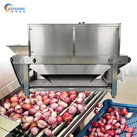 Automatische gehele knoflookpeller machine huishoudelijke elektrische knoflook sorteermachine schilapparaat voor keukenproductie