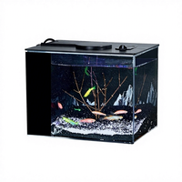 Mini aquarium de bureau à eau douce avec lumière LED multicolore changeante pour la décoration de la maison et du bureau