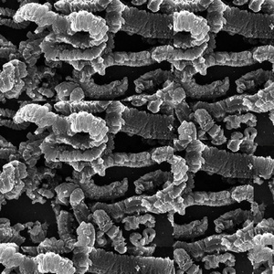 Polvere di Grafite Espandibile 80-200 Mesh per Rivestimenti Ignifughi e Materiali Sigillanti - Campione Gratuito - Product Image 5