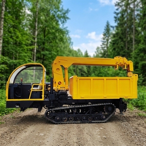 Compact 3 Ton Crawler Mounted <b>Crane</b> All Terrain Hydraulic Equipment - Product Image 5
