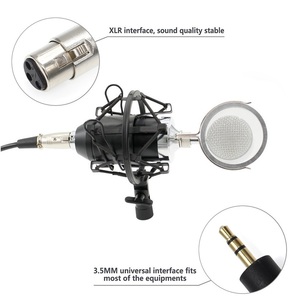 Microfono a Condensatore BM8000 per Registrazione in Studio, Microfono Dinamico BM 8000 per Trasmissioni Radio, Studio e <span class=keywords><strong>Karaoke</strong></span>, Microfono Cablato - Product Image 3