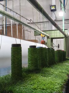 <span class=keywords><strong>Gazon</strong></span> <span class=keywords><strong>synthétique</strong></span> haute densité pour aménagement extérieur, pelouse artificielle pour jardin, patio, balcon - Product Image 6