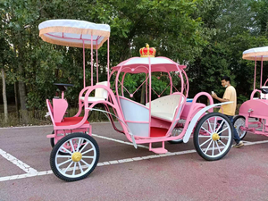 عربة سندريلا فنية حديدية ، عربة إبداعية ، ديكور عربة خارجية ، عربة بمناظر طبيعية ، سيارة لمشاهدة معالم المدينة - Product Image 6