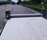Géotextile en polyester résistant à la corrosion pour la séparation et le drainage des digues