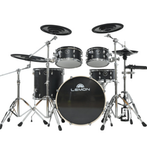 Lemon <strong>Drum</strong> T1000 Full Size Acoustic <strong>Drum</strong> <strong>Kit</strong>(Available for Customization) - Product Image 3